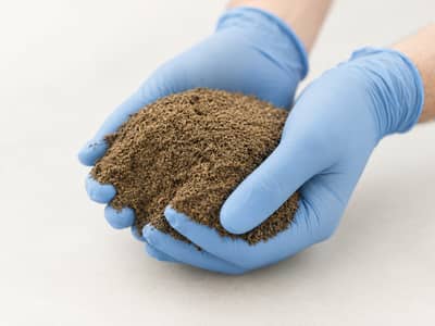 A sample of brown material held in blue-gloved hands during project assessment work.