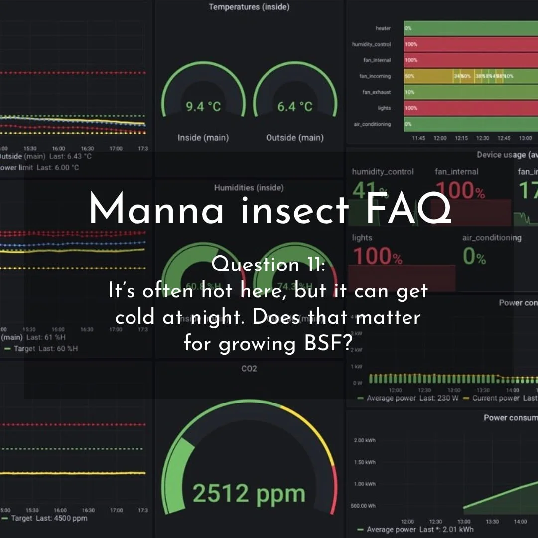 Manna Insect FAQ series - Does temperature matter when growing BSF?