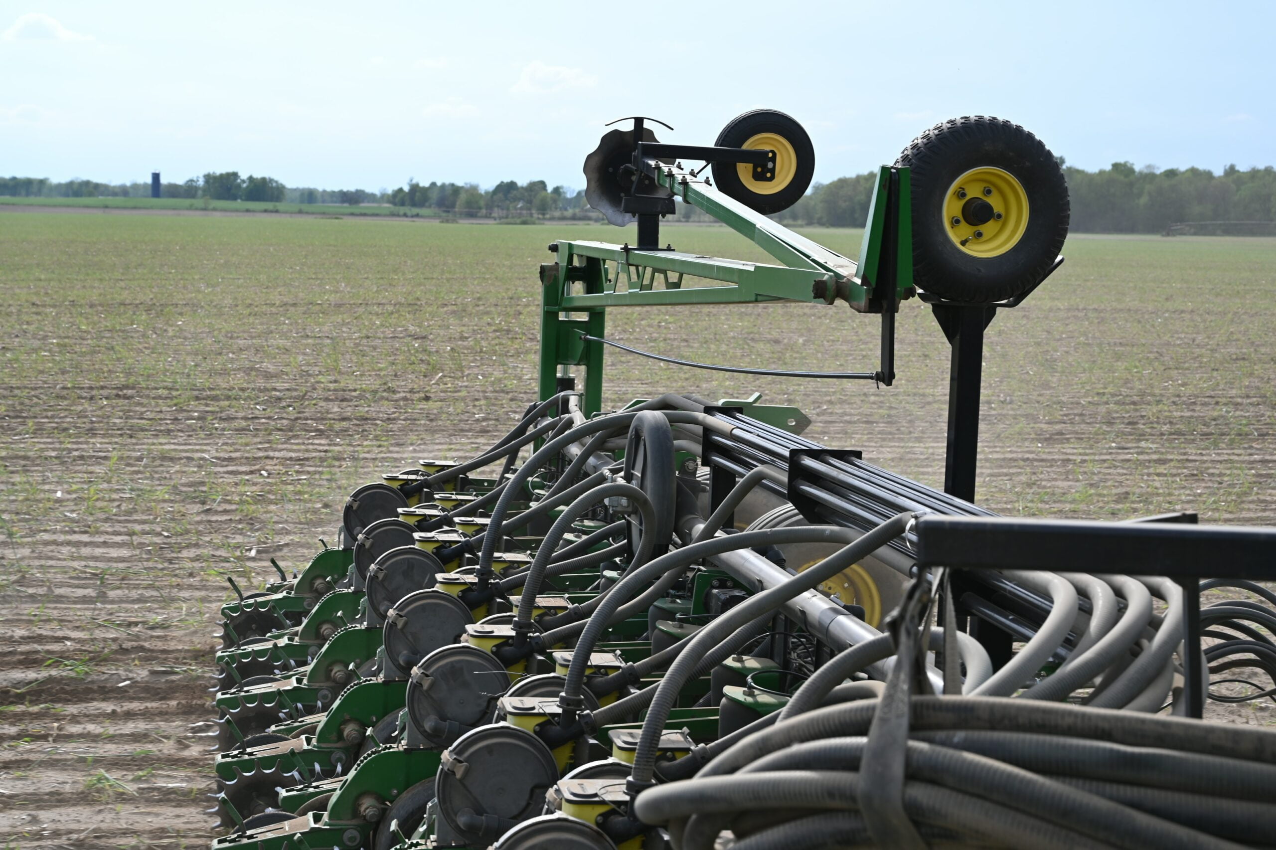 soybean planting | sustainability | benefits of BSF larvae | Manna Insect