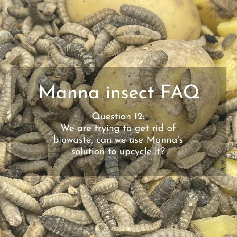 Upcycle biowaste using BSF flies and Manna MIND solution