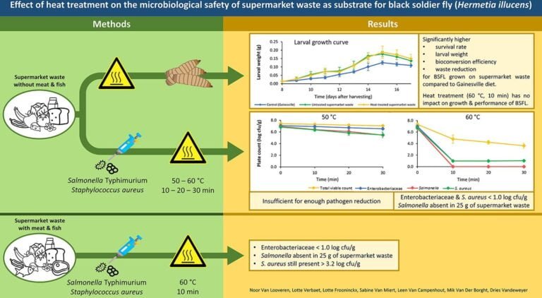 Research paper on supermarket food waste as substrate for BSFL