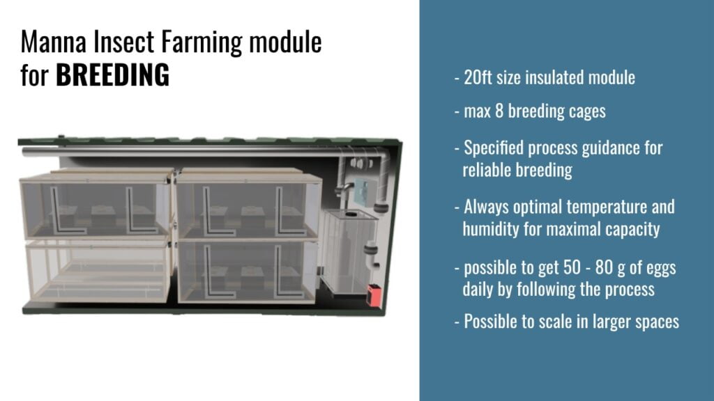 Manna Insect BSF Farming Module 20ft - Breeding