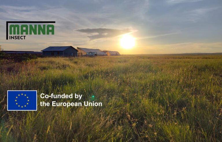 Manna Insect development project co-funded by the EU | Manna News