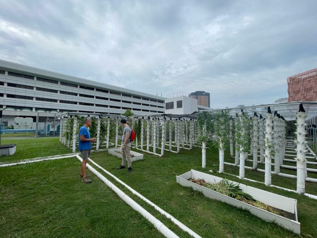 IFW 2024 in Singapore | Manna Insect