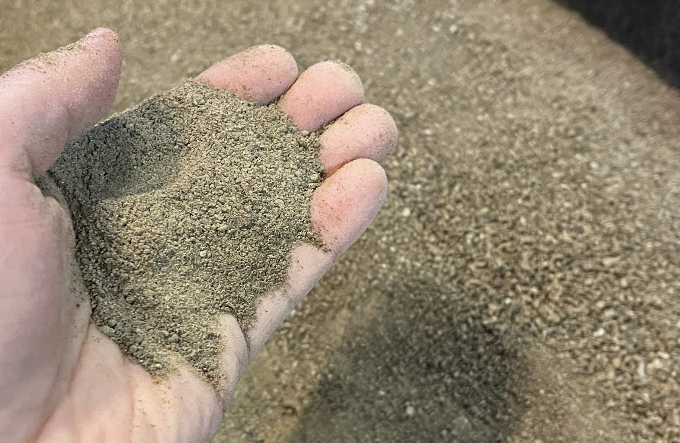 BSF frass - a nutrient-rich fertilizer | Manna Insect