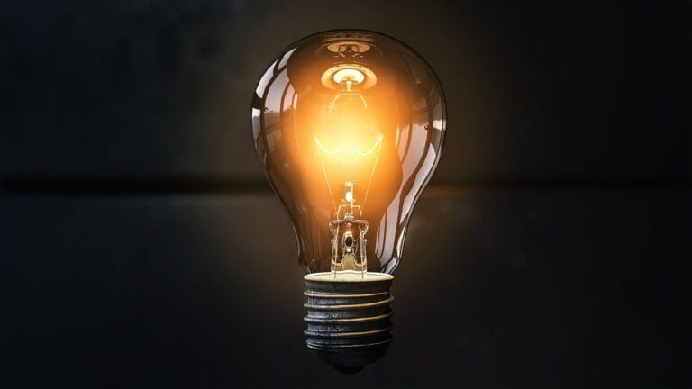 Light bulb on dark background | Marketing strategies for selling BSF products | Manna Insect