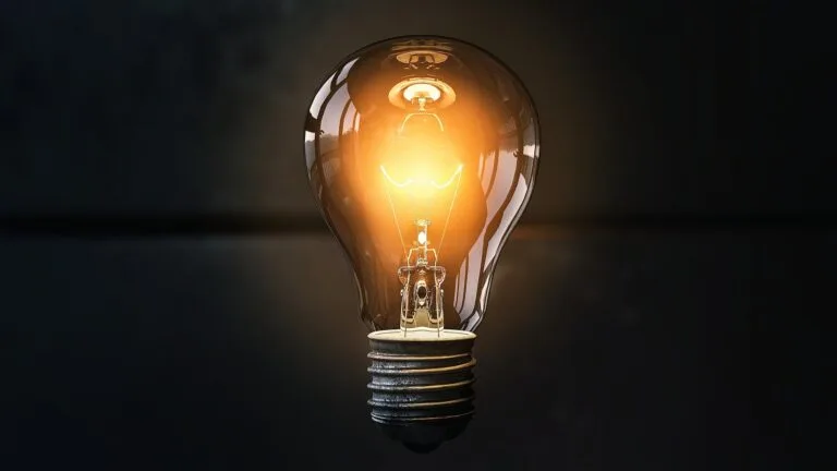 Light bulb on dark background | Marketing strategies for selling BSF products | Manna Insect
